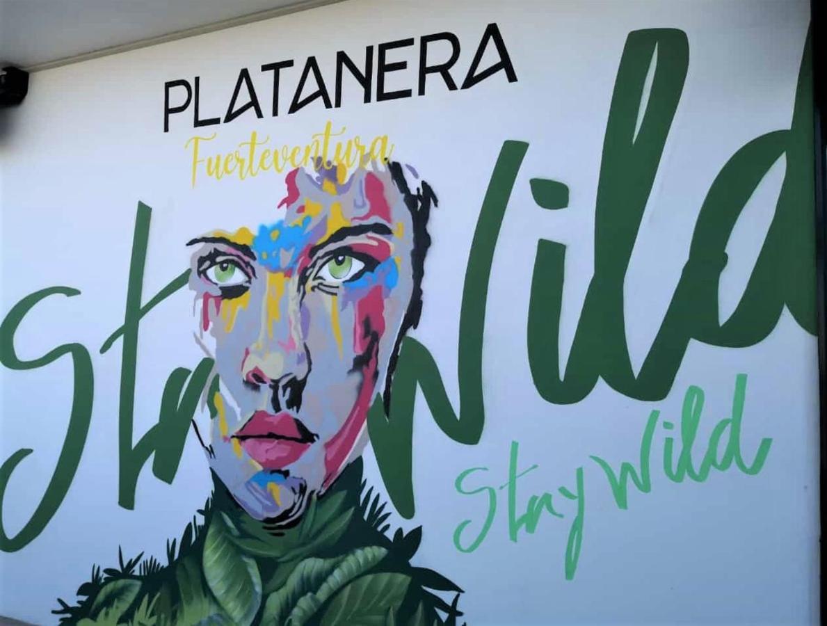 Appartement Vista Bristol 50B Corralejo Eksteriør billede