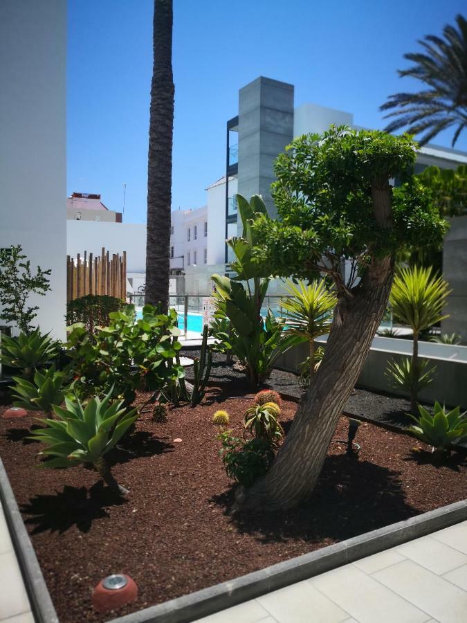 Appartement Vista Bristol 50B Corralejo Eksteriør billede