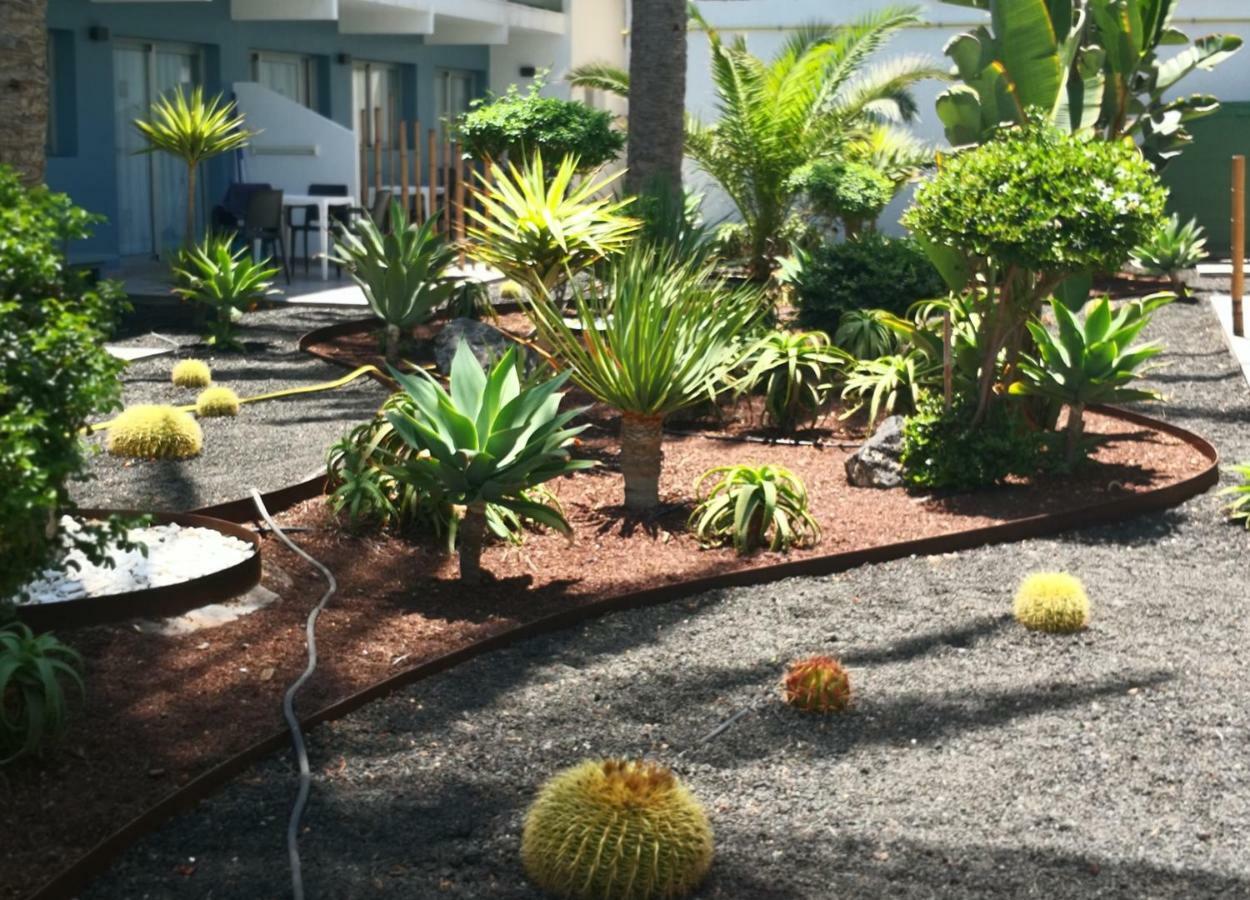 Appartement Vista Bristol 50B Corralejo Eksteriør billede